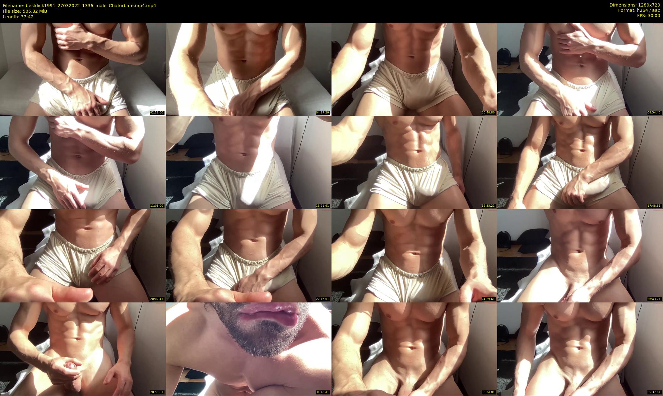 bestdick1991 — 38 minute Chaturbate male cam show recording, 720p, Mar 27, 2022