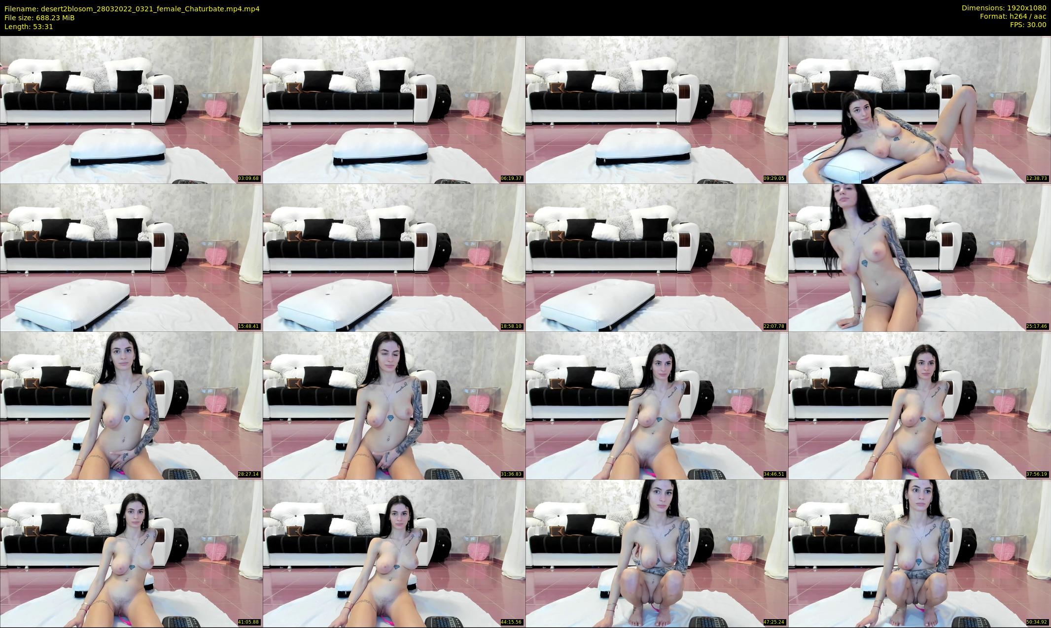 desert2blosom — 54 minute Chaturbate female cam show recording, 1080p, Mar 28, 2022