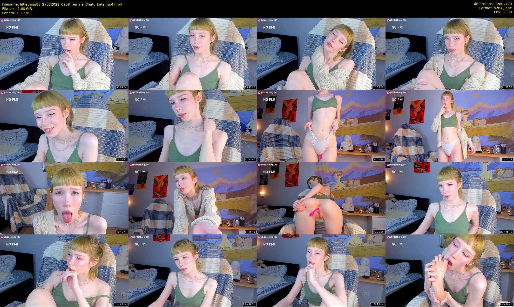 littlething88 — 92 minute Chaturbate female cam show recording, 720p, Mar 27, 2022