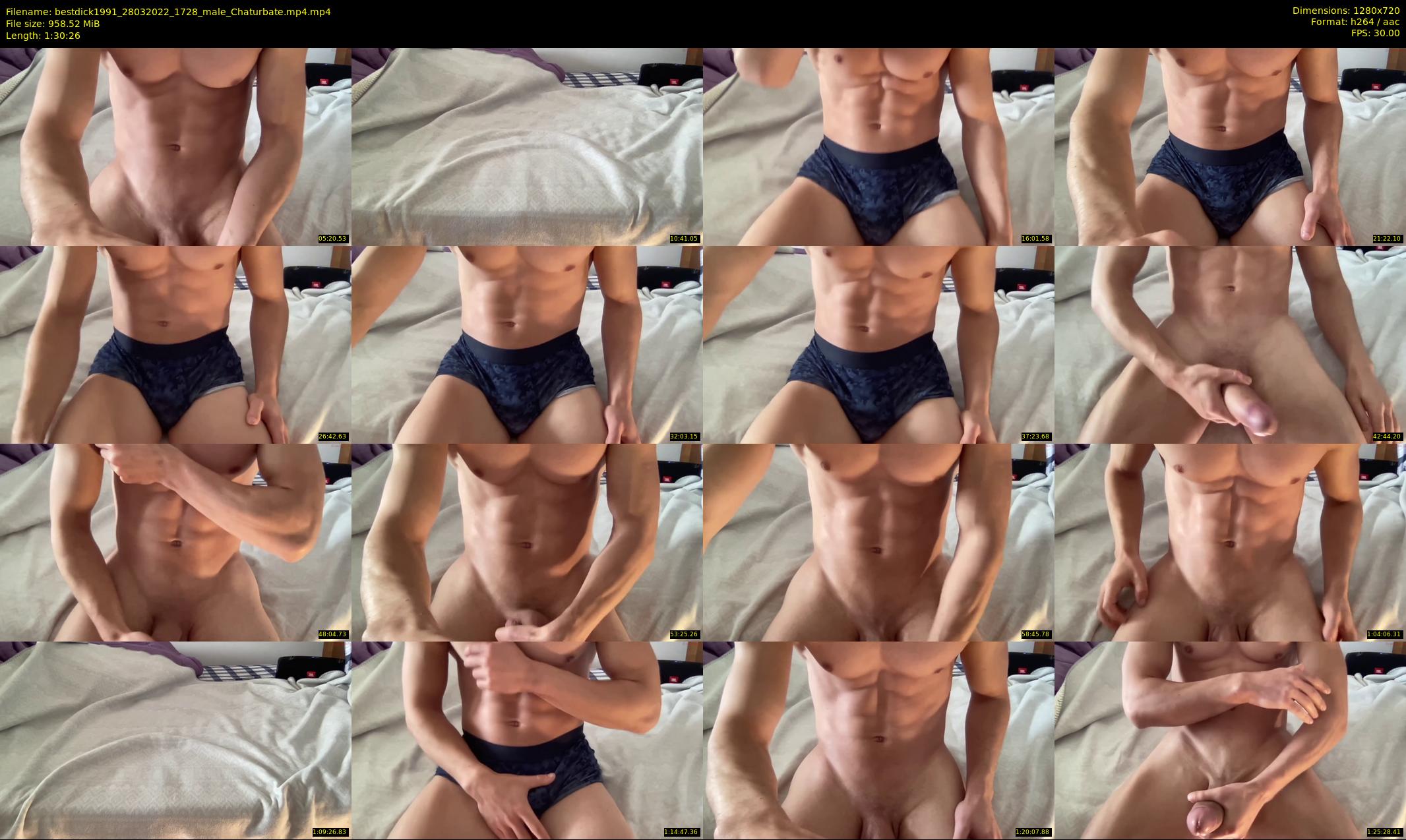 bestdick1991 — 91 minute Chaturbate male cam show recording, 720p, Mar 28, 2022