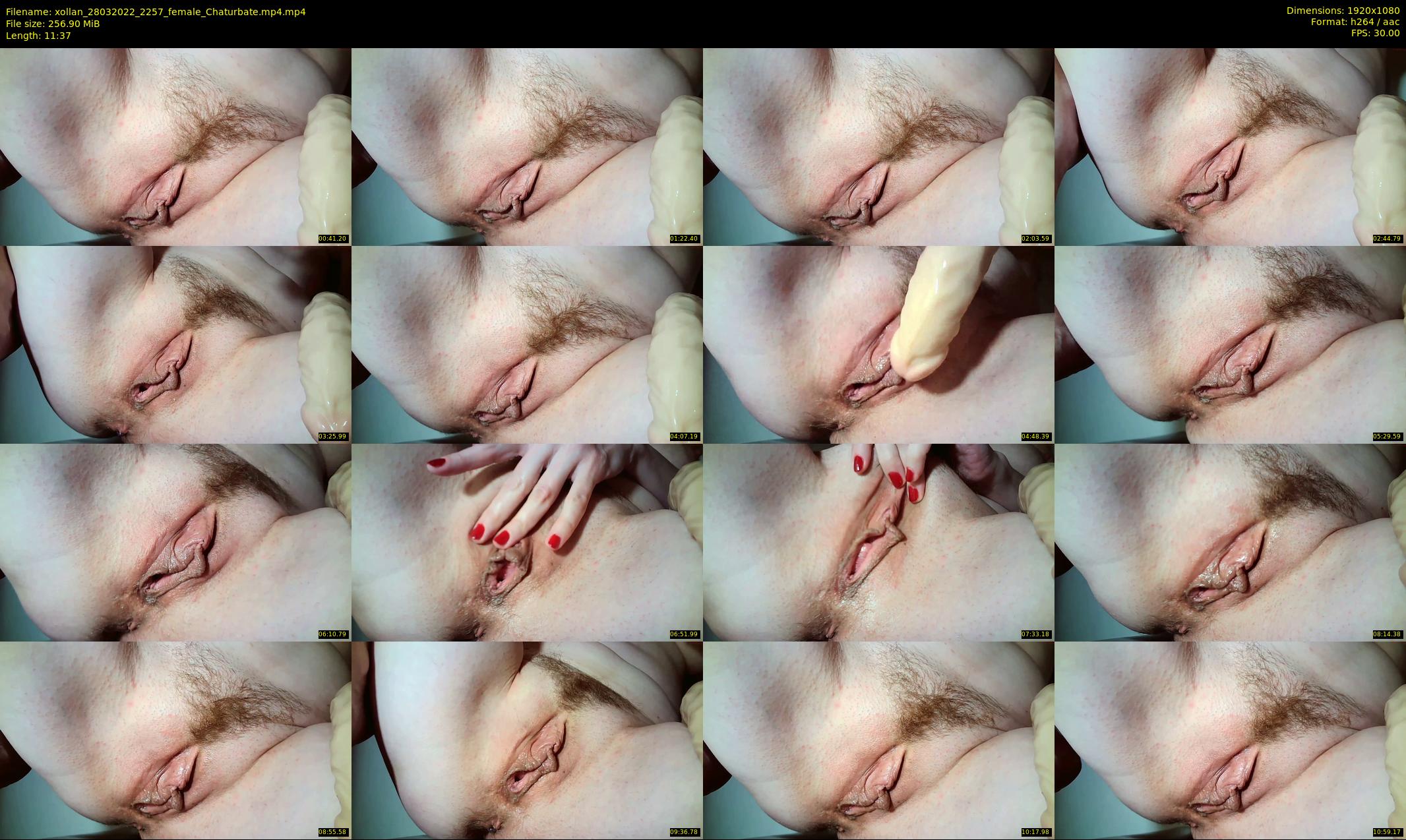 xollan — 12 minute Chaturbate female cam show recording, 1080p, Mar 28, 2022