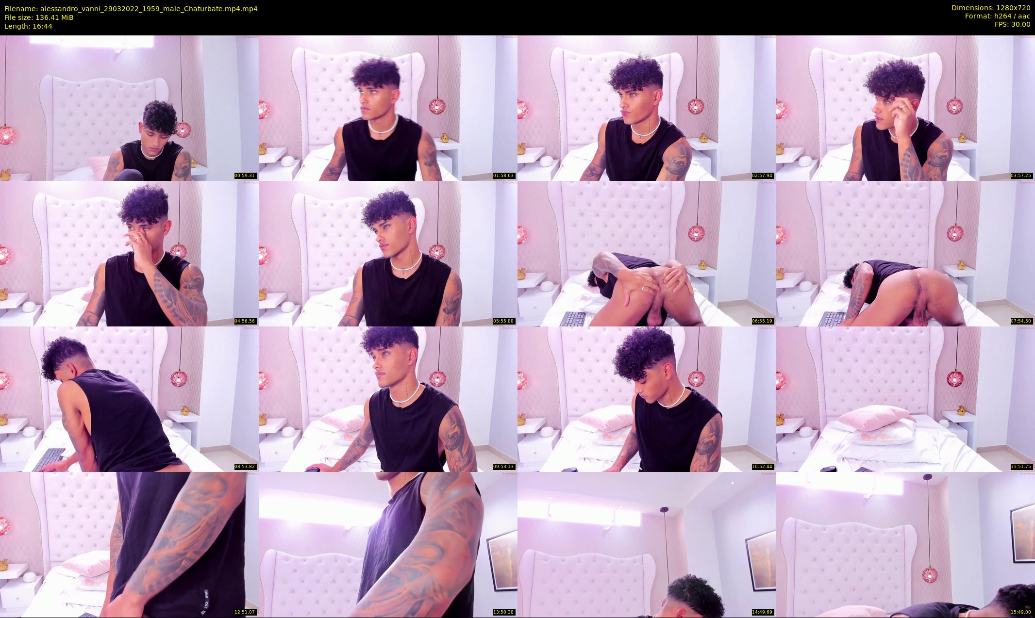 alessandro_vanni — 17 minute Chaturbate male cam show recording, 720p, Mar 29, 2022