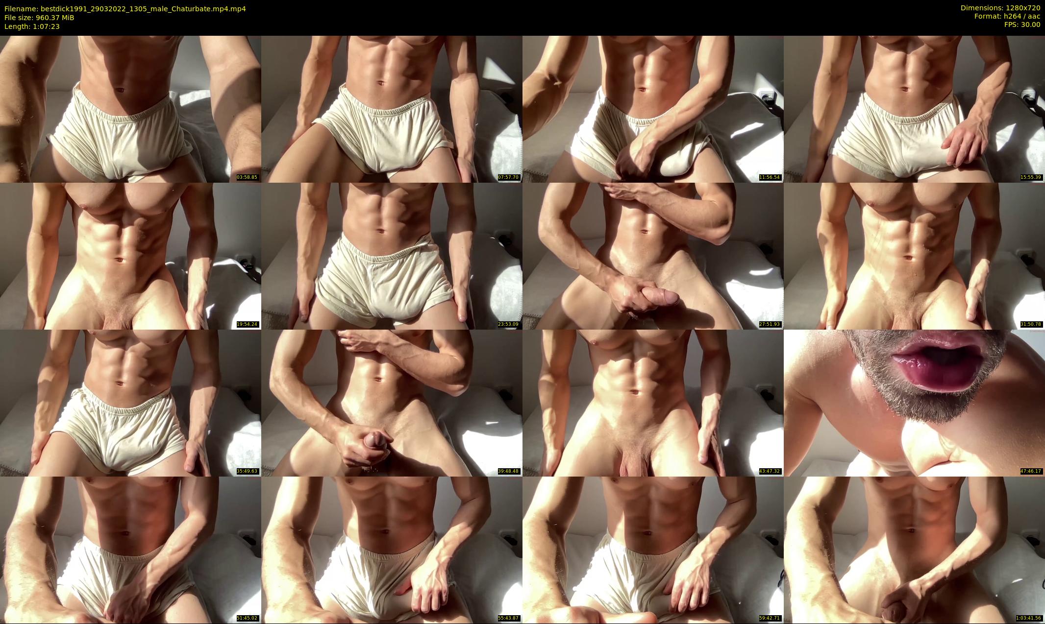 bestdick1991 — 68 minute Chaturbate male cam show recording, 720p, Mar 29, 2022