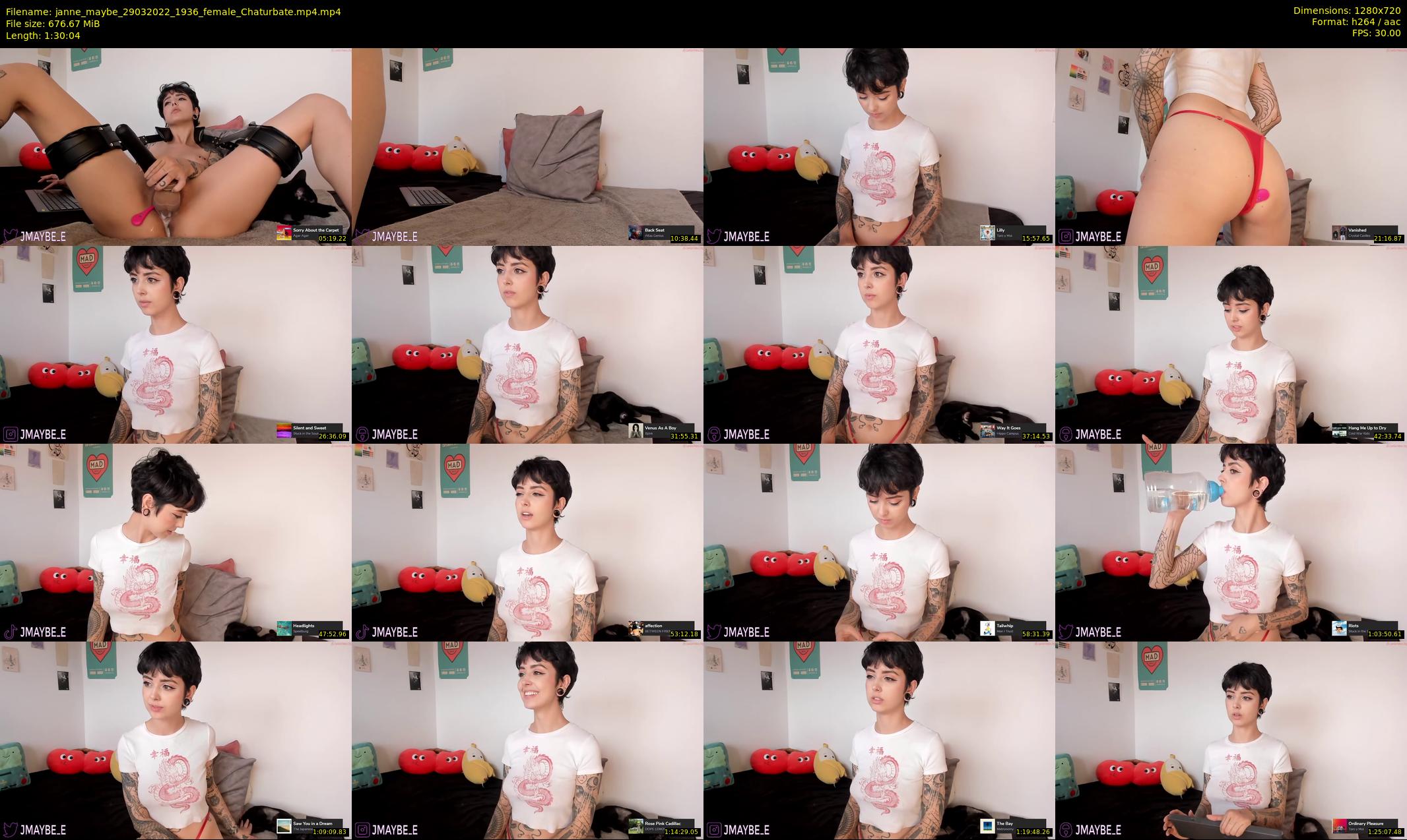 janne_maybe — 91 minute Chaturbate female cam show recording, 720p, Mar 29, 2022