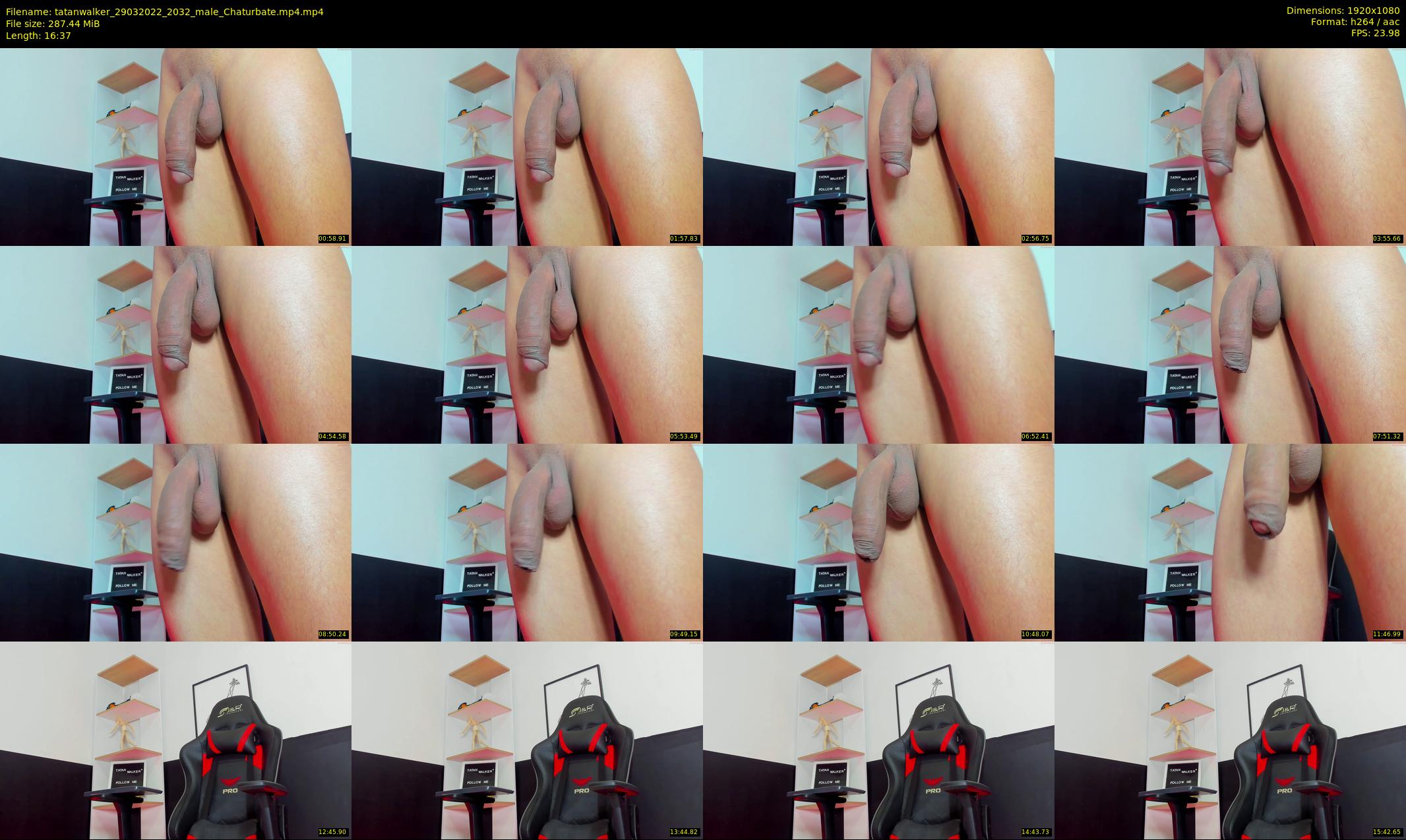 tatanwalker — 17 minute Chaturbate male cam show recording, 1080p, Mar 29, 2022
