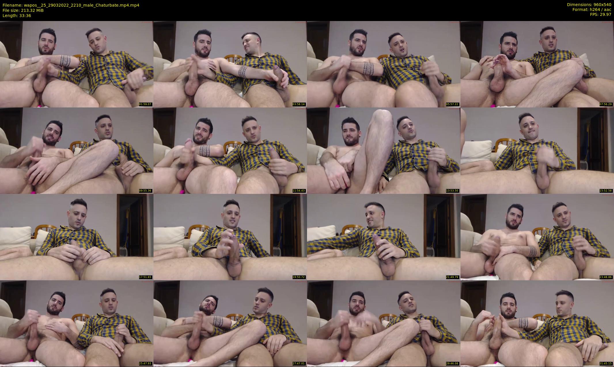 wapos__25 — 34 minute Chaturbate male cam show recording, 480p, Mar 29, 2022