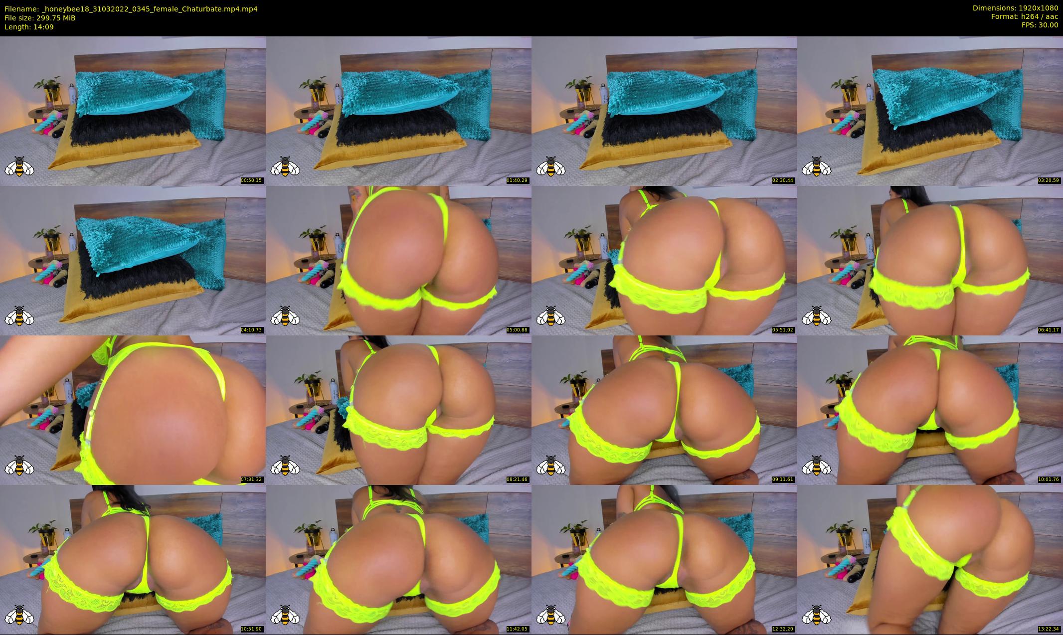 _honeybee18 — 15 minute Chaturbate female cam show recording, 1080p, Mar 31, 2022