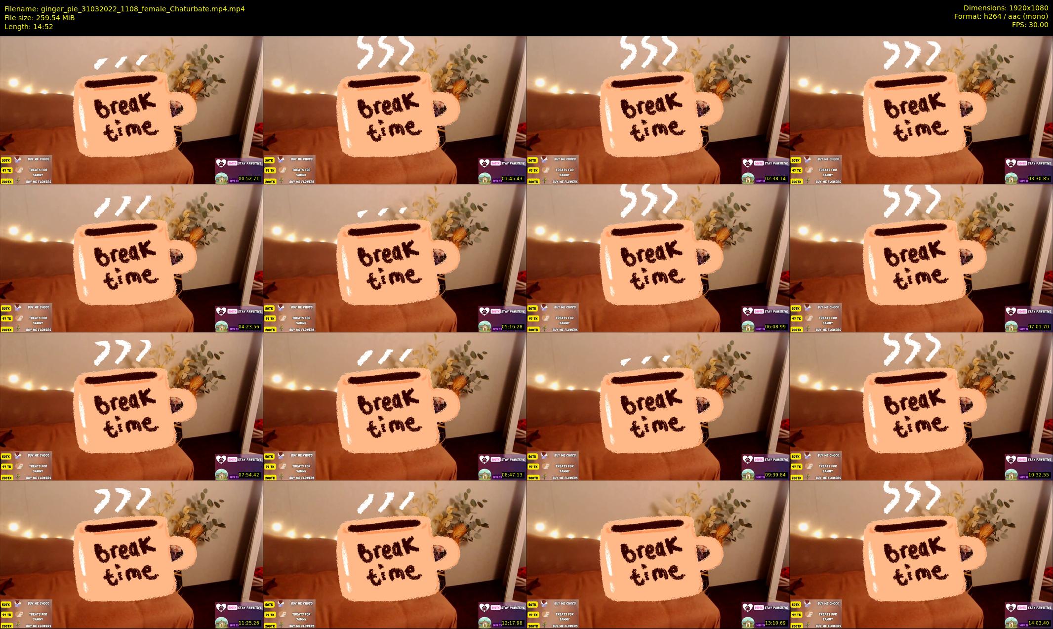 ginger_pie — 15 minute Chaturbate female cam show recording, 1080p, Mar 31, 2022