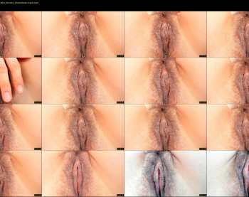arianaonfire — 11 minute Chaturbate couple cam show recording, 1080p, Apr 1, 2022