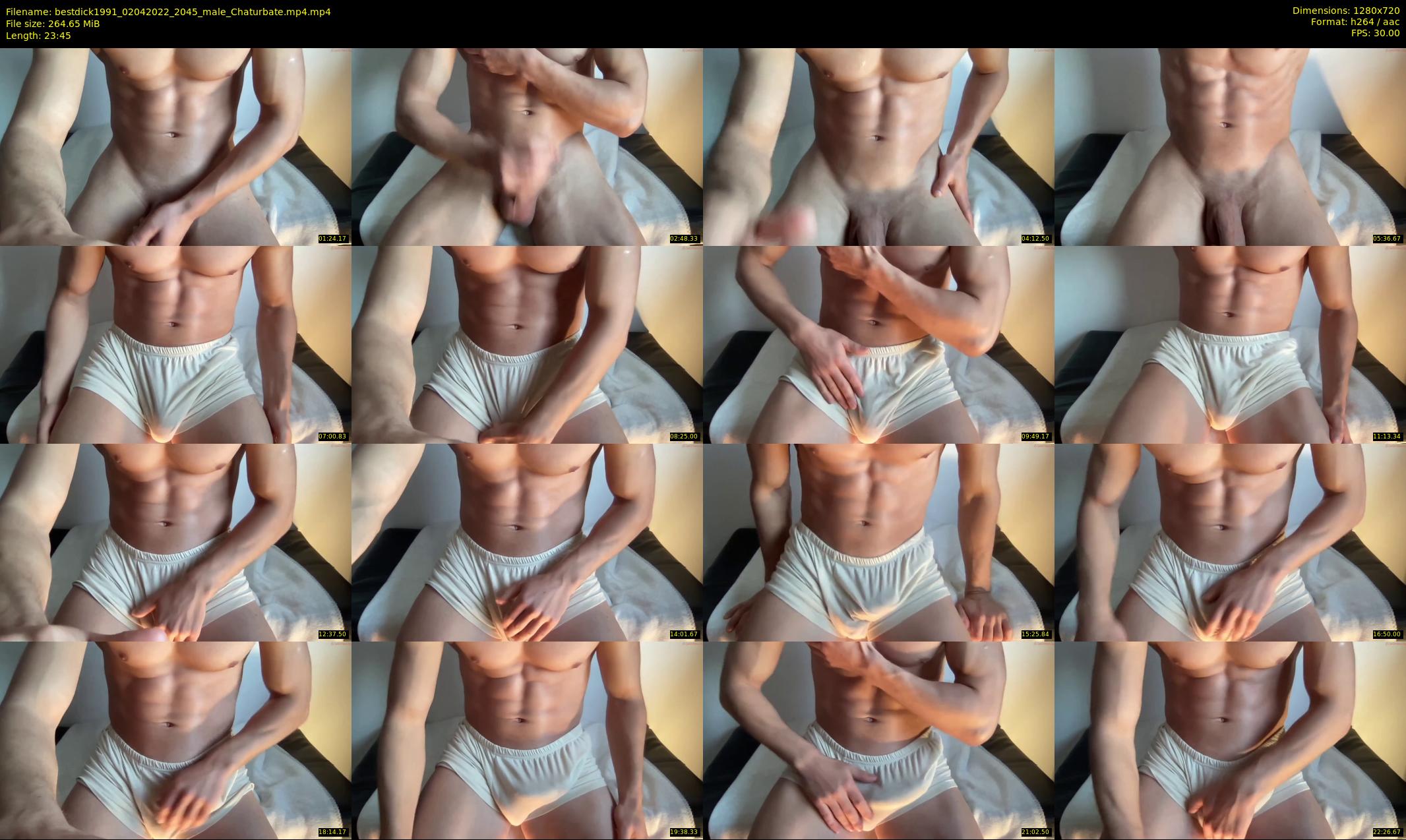 bestdick1991 — 24 minute Chaturbate male cam show recording, 720p, Apr 2, 2022