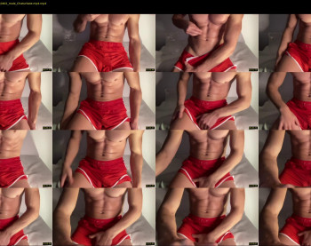 bestdick1991 — 17 minute Chaturbate male cam show recording, 720p, Apr 3, 2022