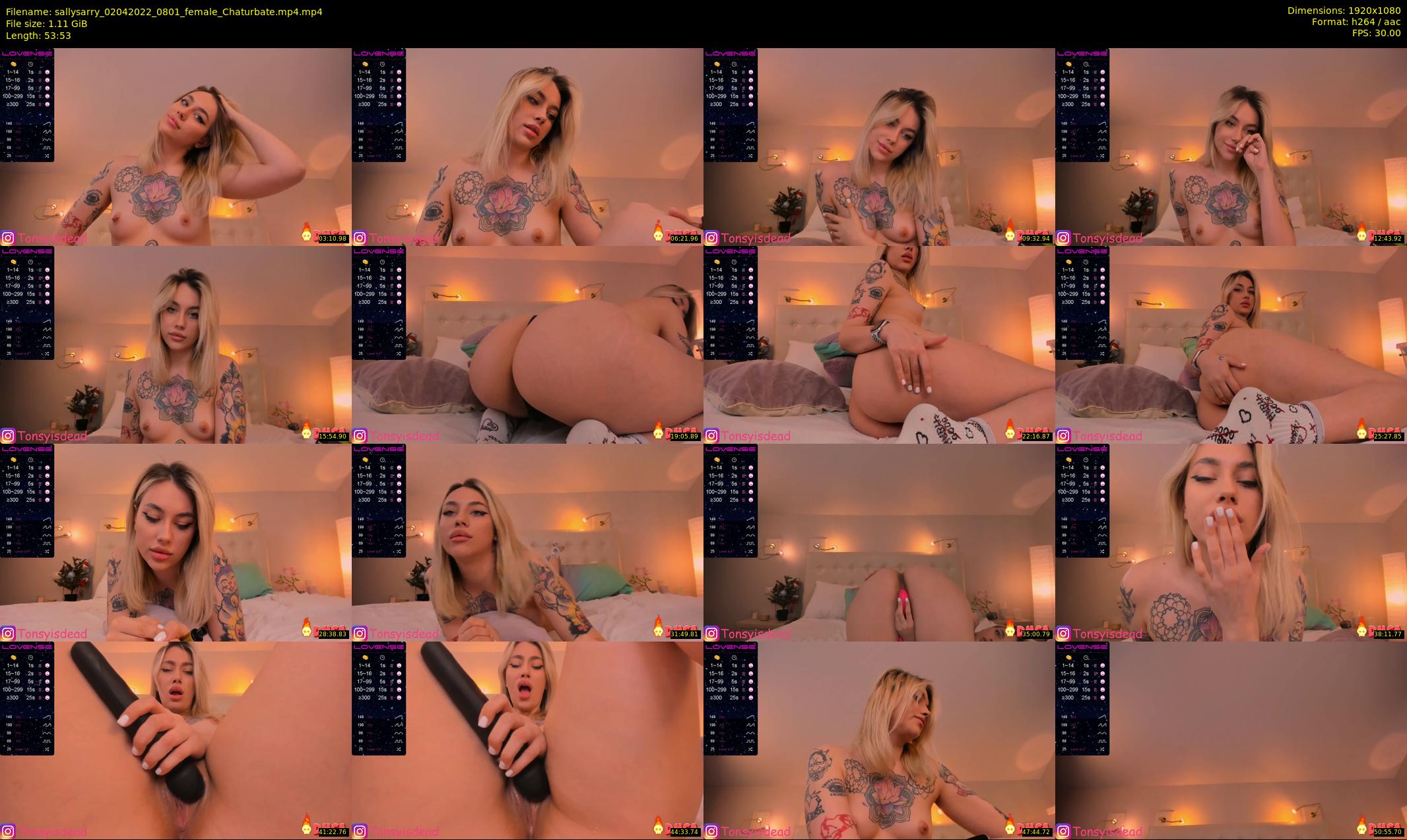 sallysarry — 54 minute Chaturbate couple cam show recording, 1080p, Apr 2, 2022