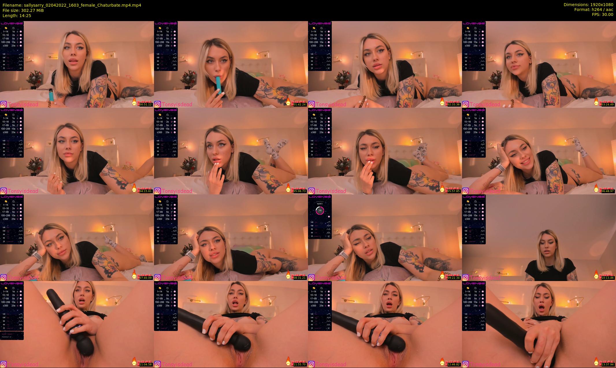 sallysarry — 15 minute Chaturbate couple cam show recording, 1080p, Apr 2, 2022