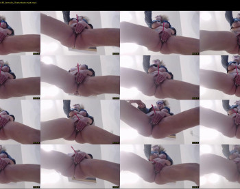 schoolteach — 17 minute Chaturbate female cam show recording, 720p, Apr 3, 2022