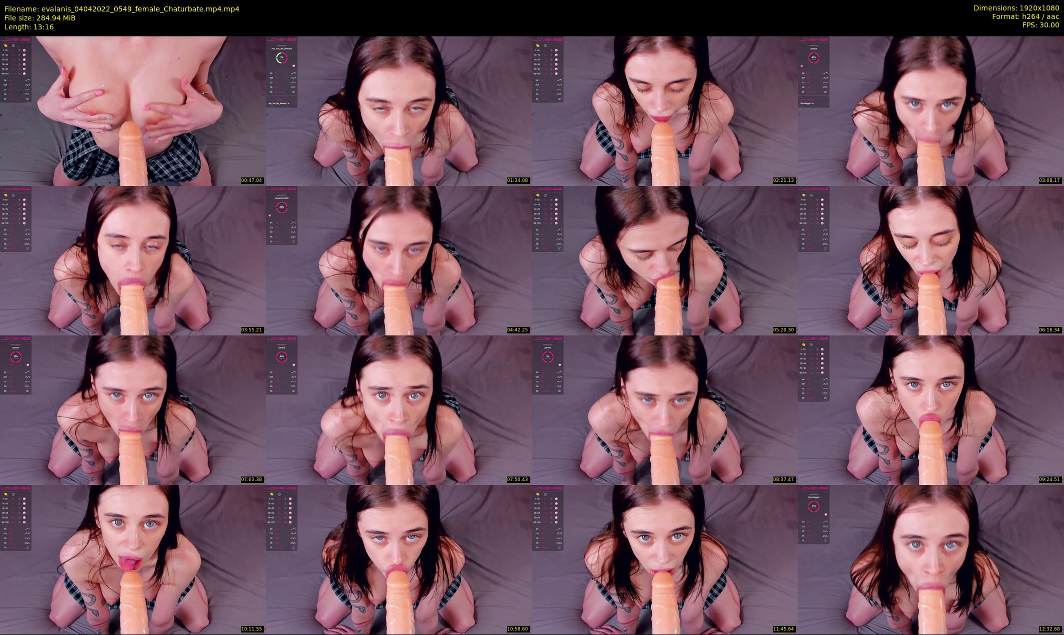 evalanis — 14 minute Chaturbate couple cam show recording, 1080p, Apr 4, 2022