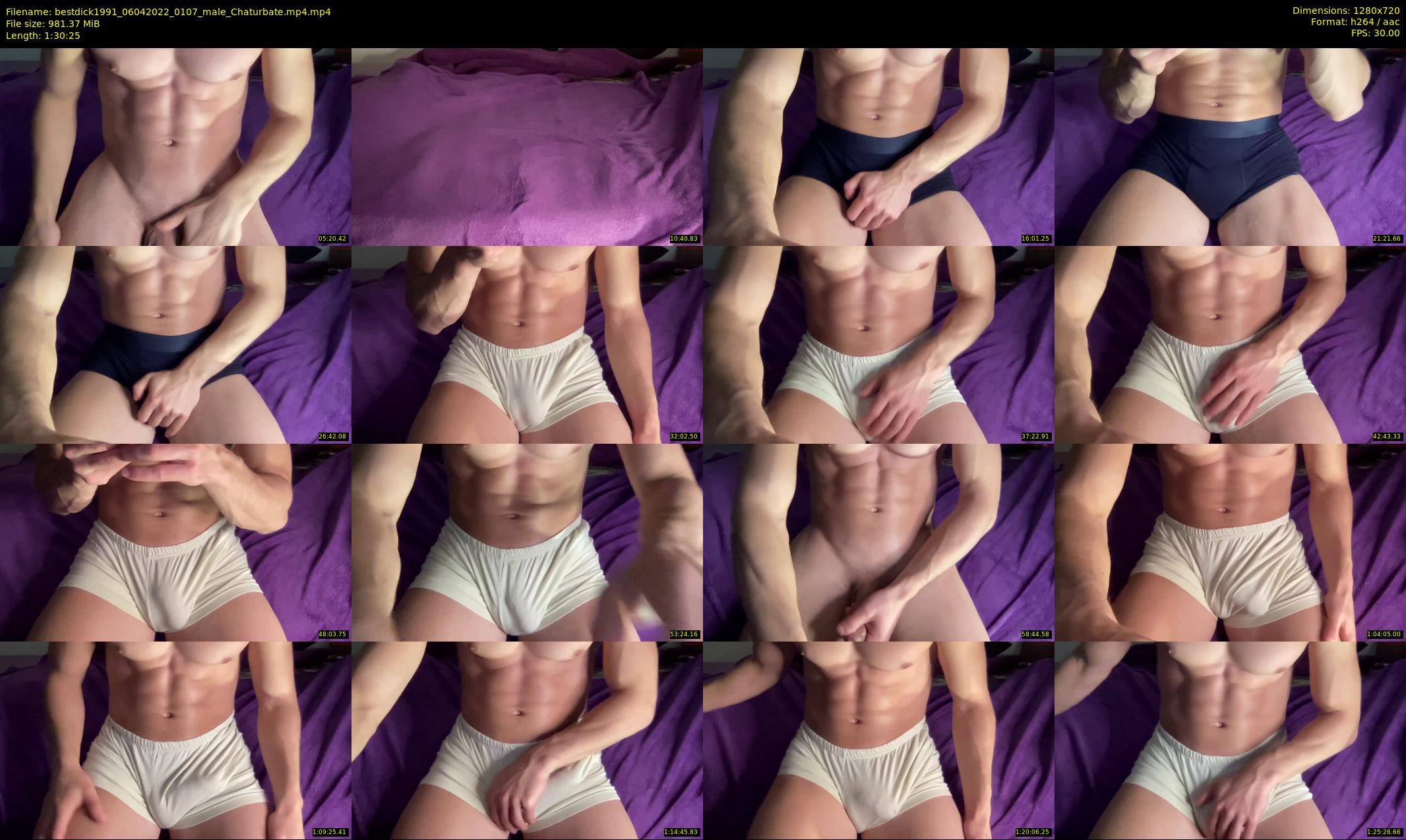 bestdick1991 — 91 minute Chaturbate male cam show recording, 720p, Apr 6, 2022