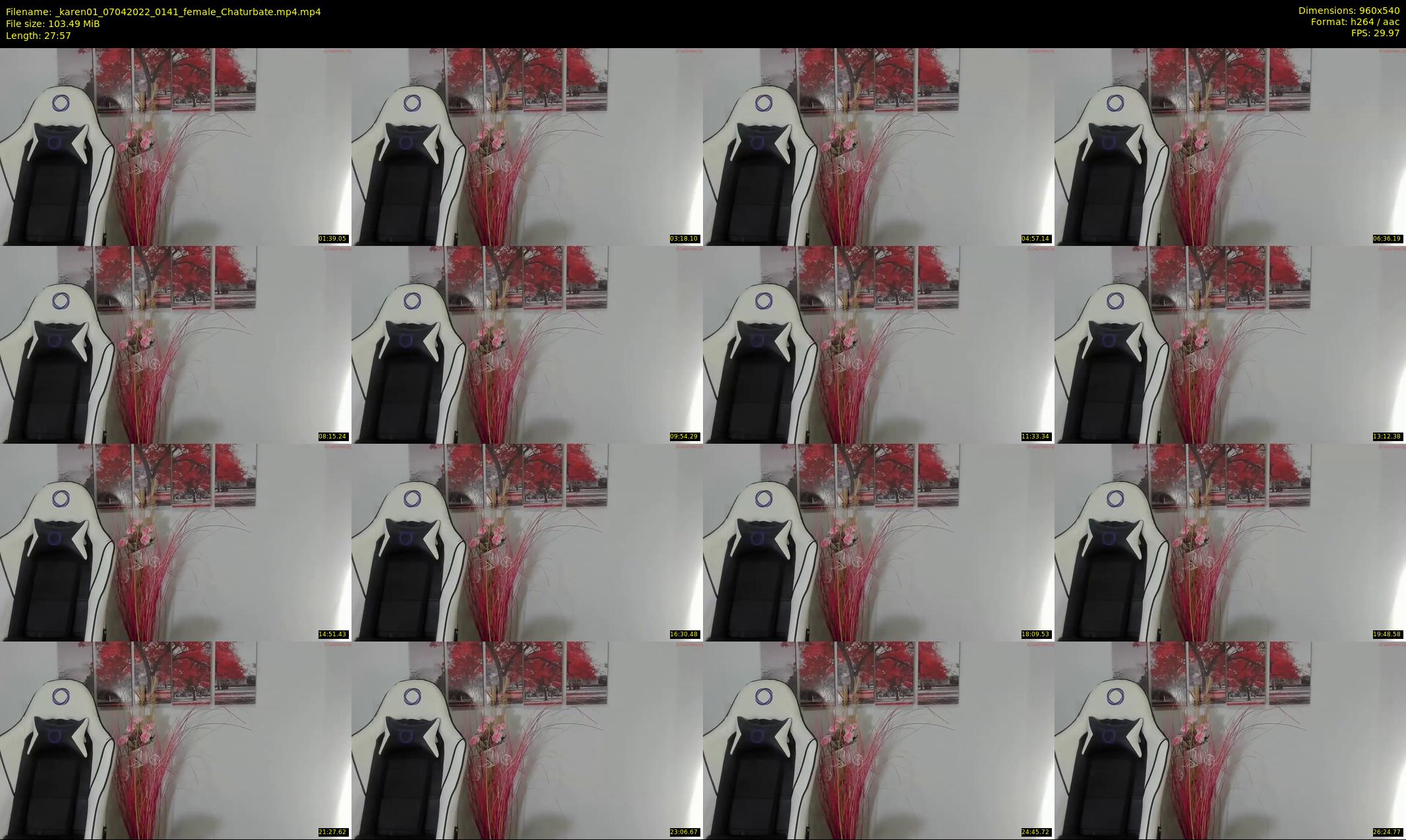 _karen01 — 28 minute Chaturbate female cam show recording, 480p, Apr 7, 2022