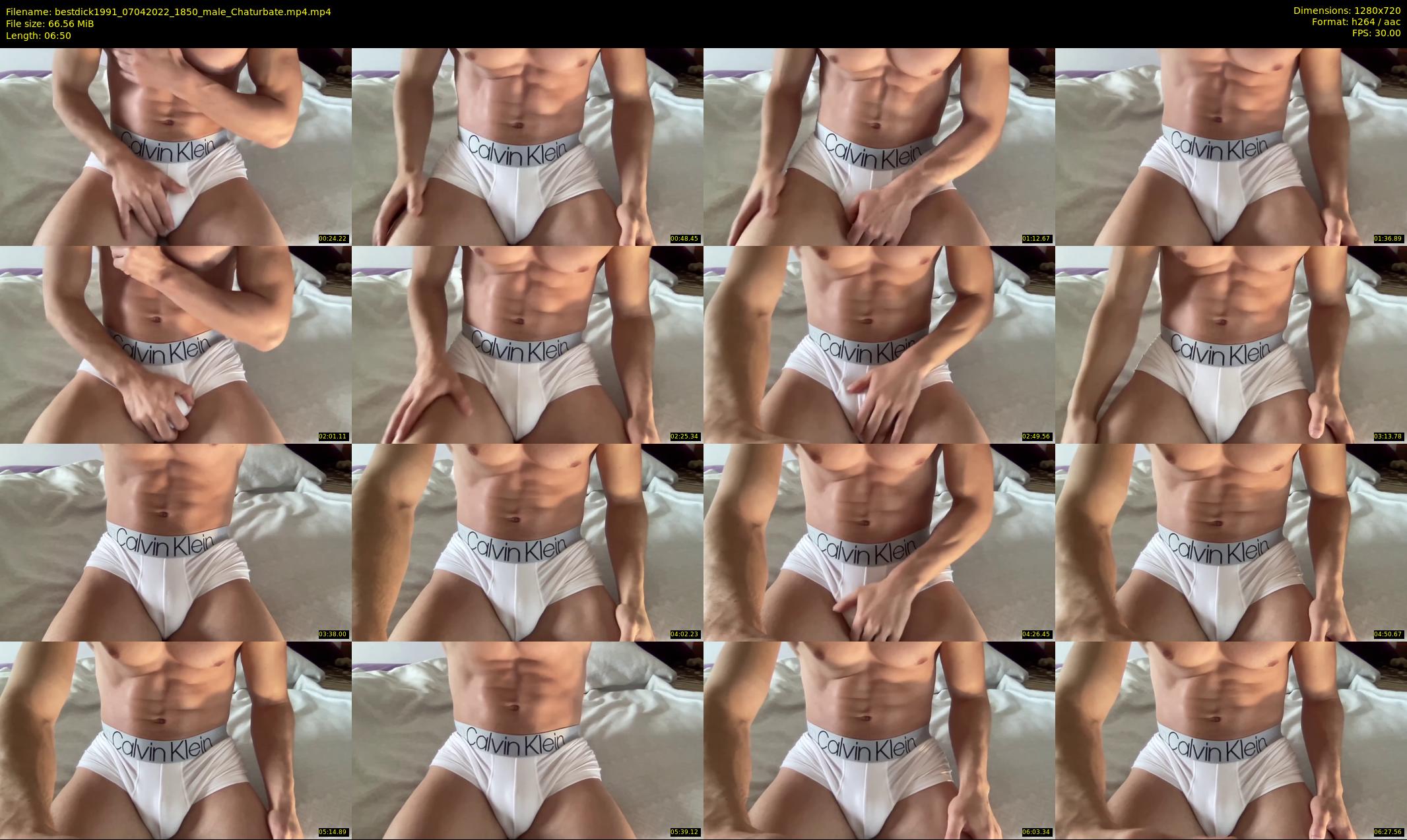 bestdick1991 — 7 minute Chaturbate male cam show recording, 720p, Apr 7, 2022