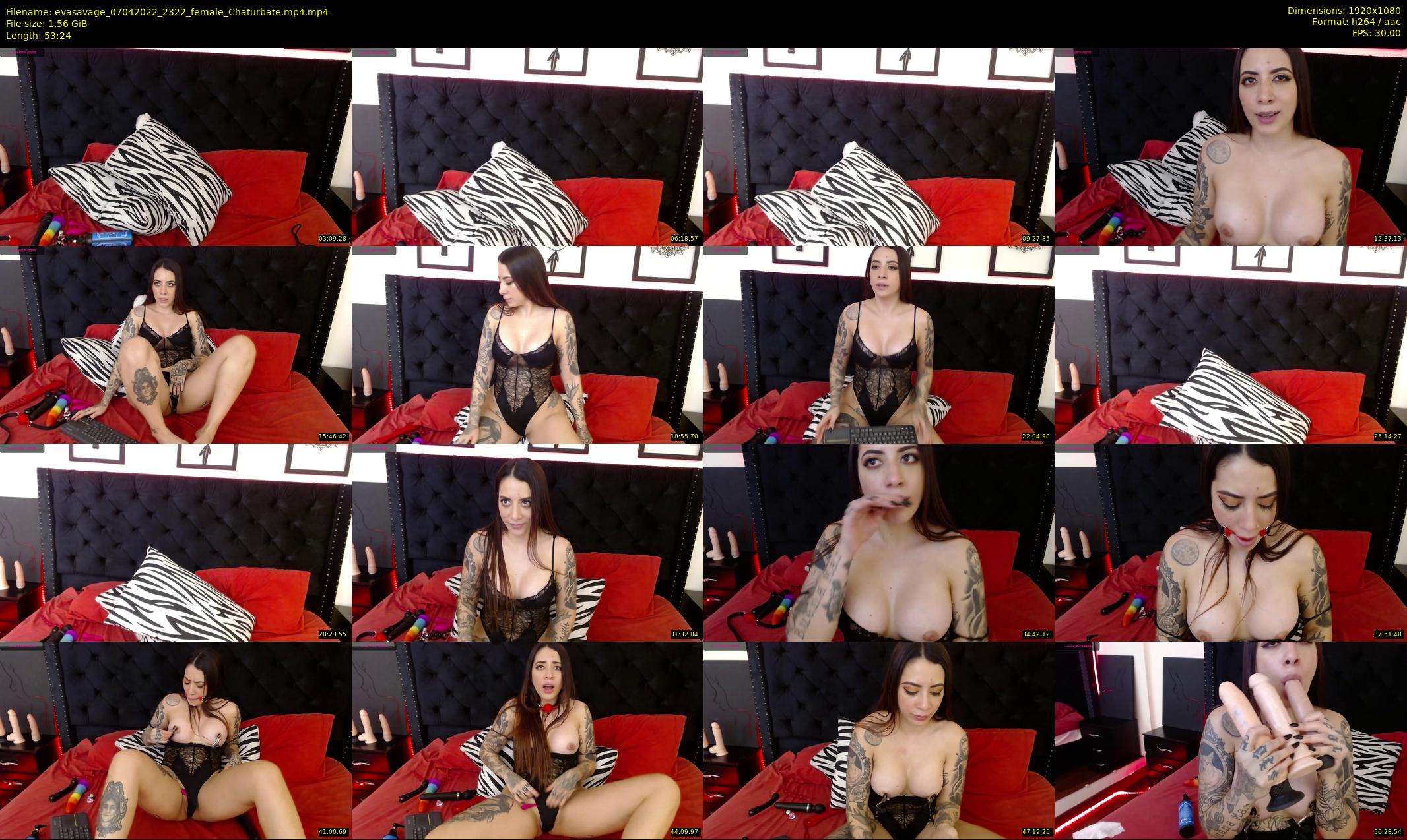 evasavage — 54 minute Chaturbate female cam show recording, 1080p, Apr 7, 2022
