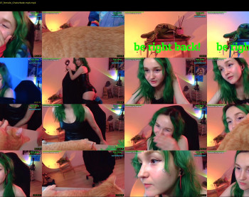 frogessjay — 91 minute Chaturbate female cam show recording, 720p, Apr 8, 2022