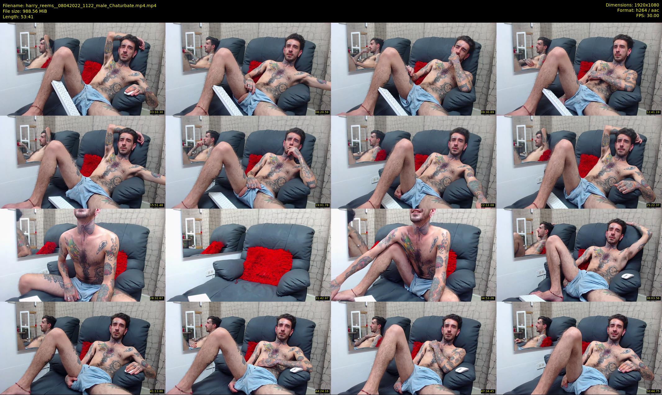 harry_reems_ — 54 minute Chaturbate male cam show recording, 1080p, Apr 8, 2022