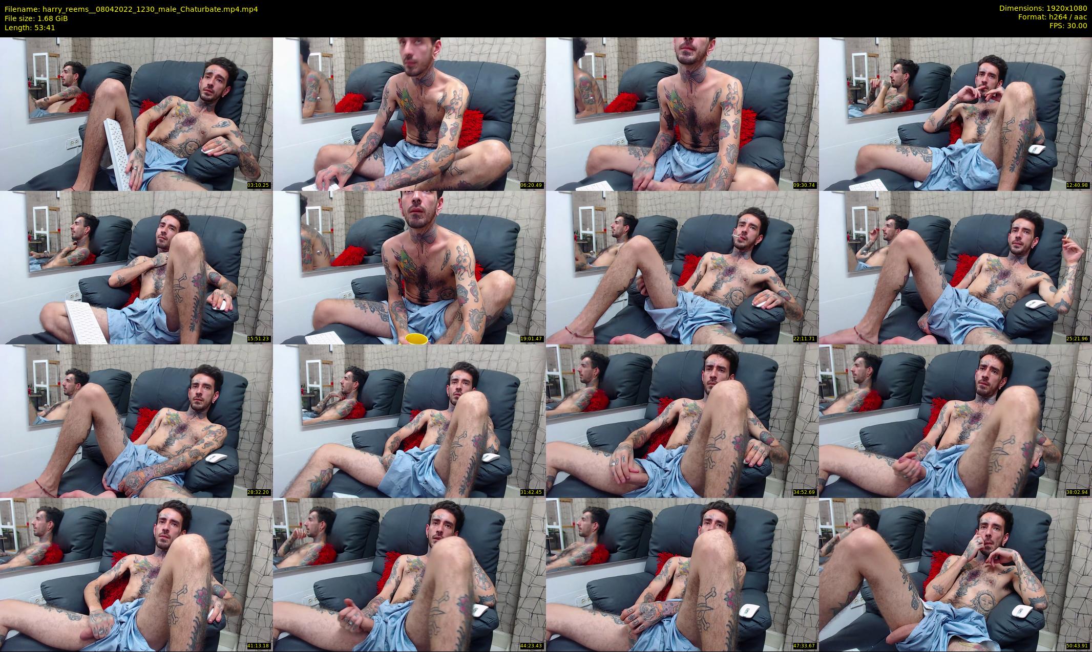 harry_reems_ — 54 minute Chaturbate male cam show recording, 1080p, Apr 8, 2022