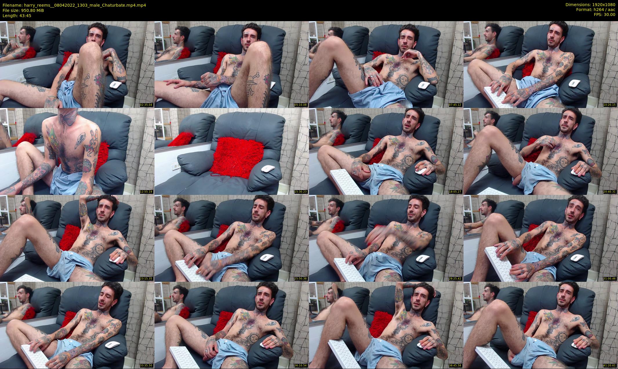 harry_reems_ — 44 minute Chaturbate male cam show recording, 1080p, Apr 8, 2022