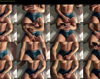 bestdick1991 — 12 minute Chaturbate male cam show recording, 720p, Apr 11, 2022
