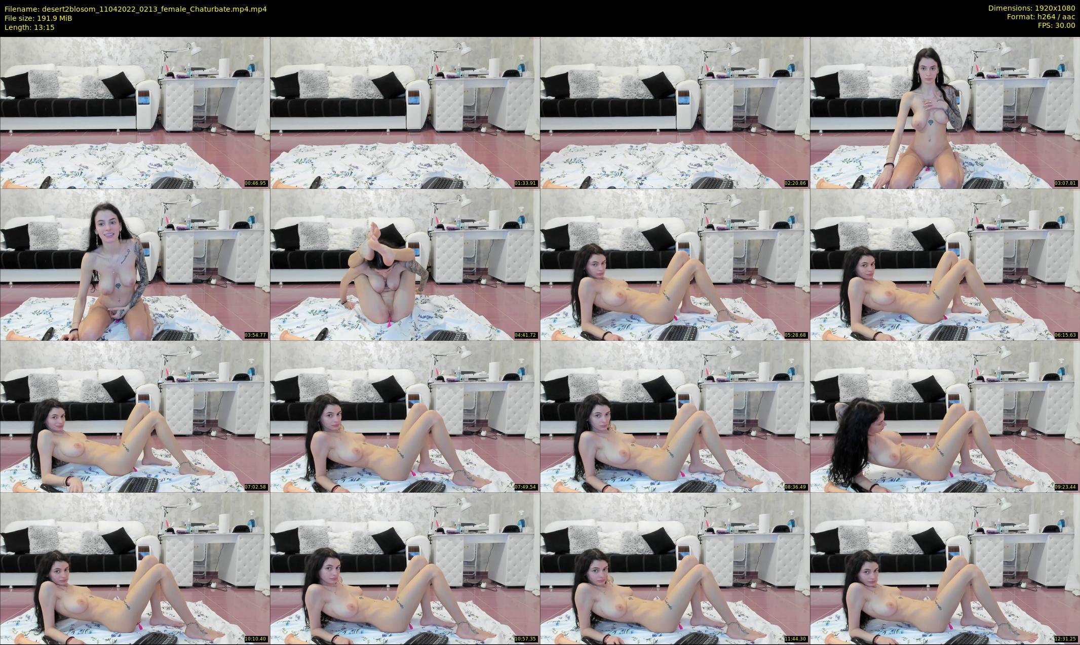 desert2blosom — 14 minute Chaturbate female cam show recording, 1080p, Apr 11, 2022
