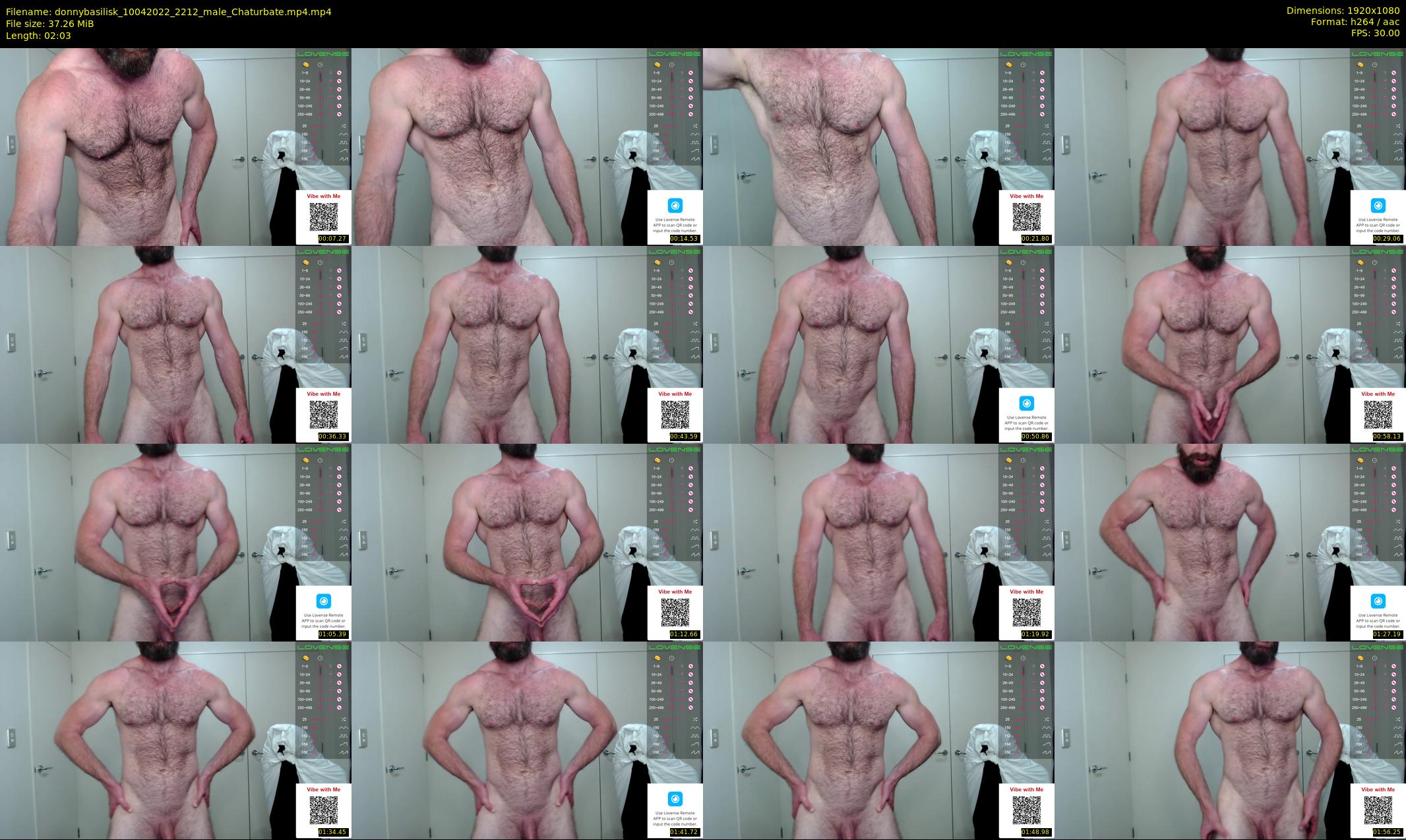 donnybasilisk — 3 minute Chaturbate male cam show recording, 1080p, Apr 10, 2022