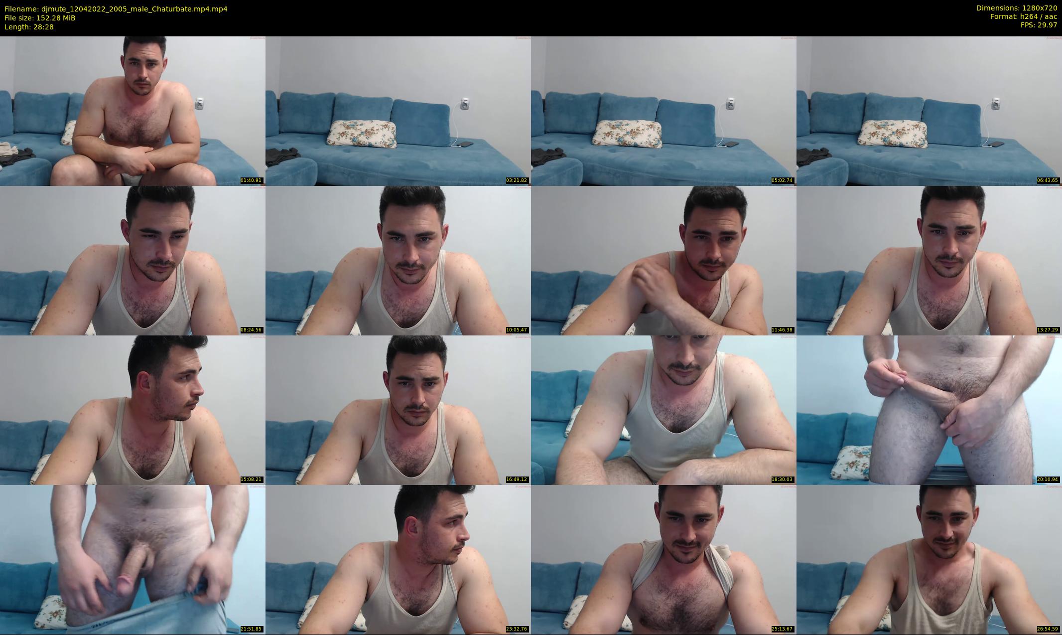 djmute — 29 minute Chaturbate male cam show recording, 720p, Apr 12, 2022