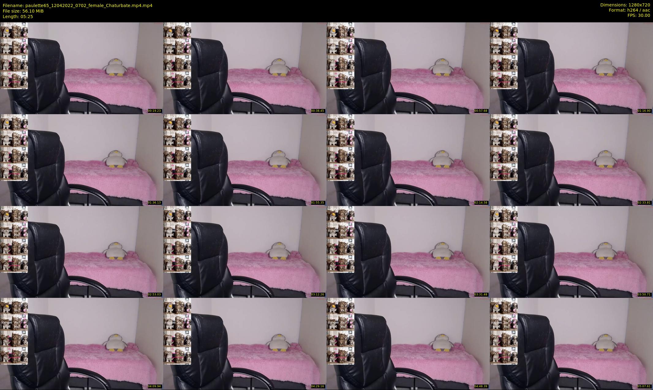 paulette65 — 6 minute Chaturbate female cam show recording, 720p, Apr 12, 2022