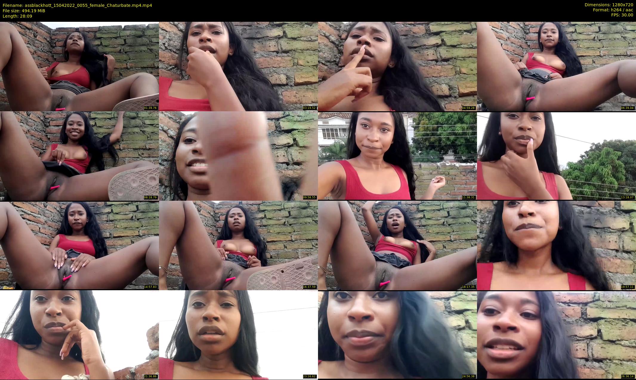 assblackhott — 29 minute Chaturbate female cam show recording, 720p, Apr 15, 2022