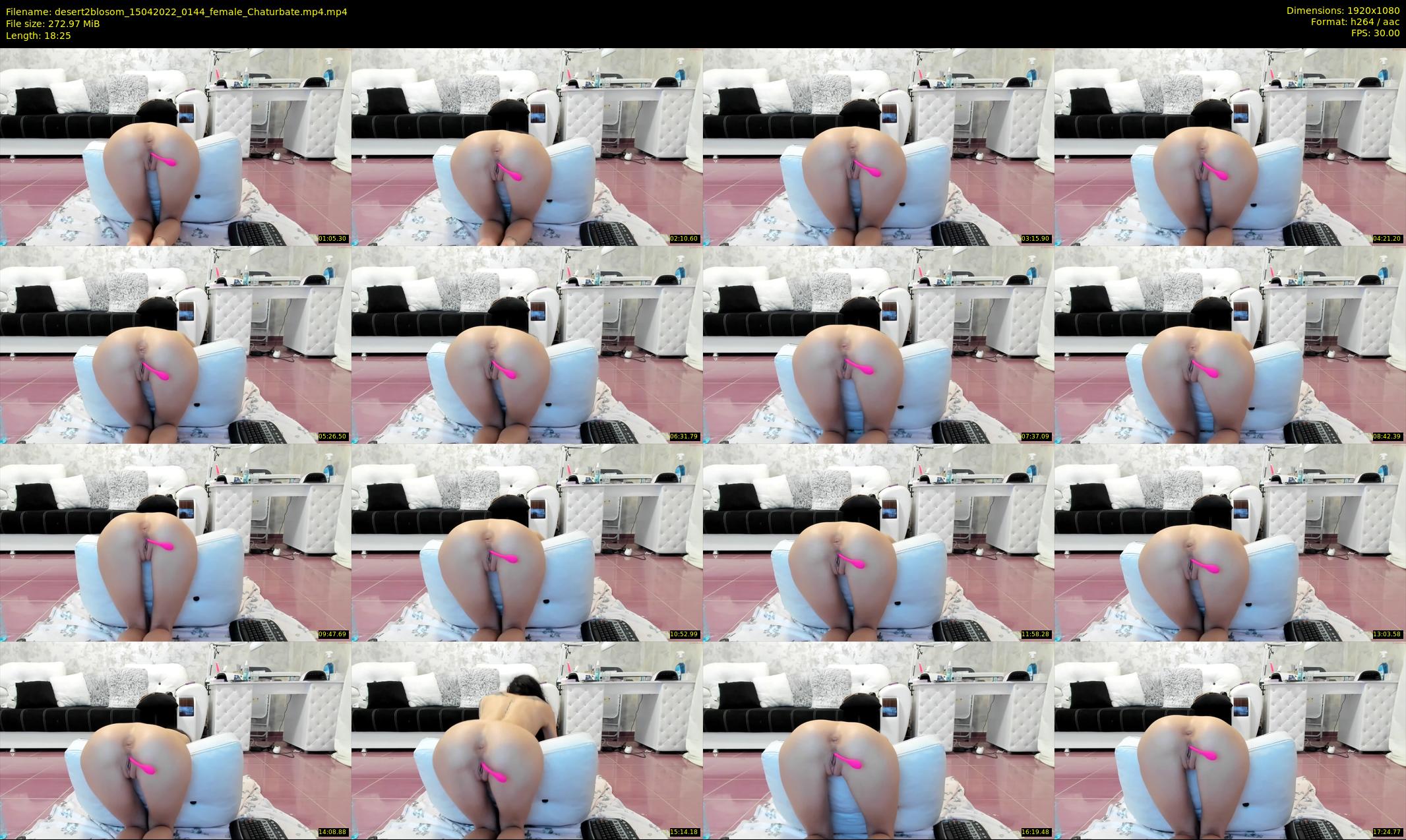 desert2blosom — 19 minute Chaturbate female cam show recording, 1080p, Apr 15, 2022