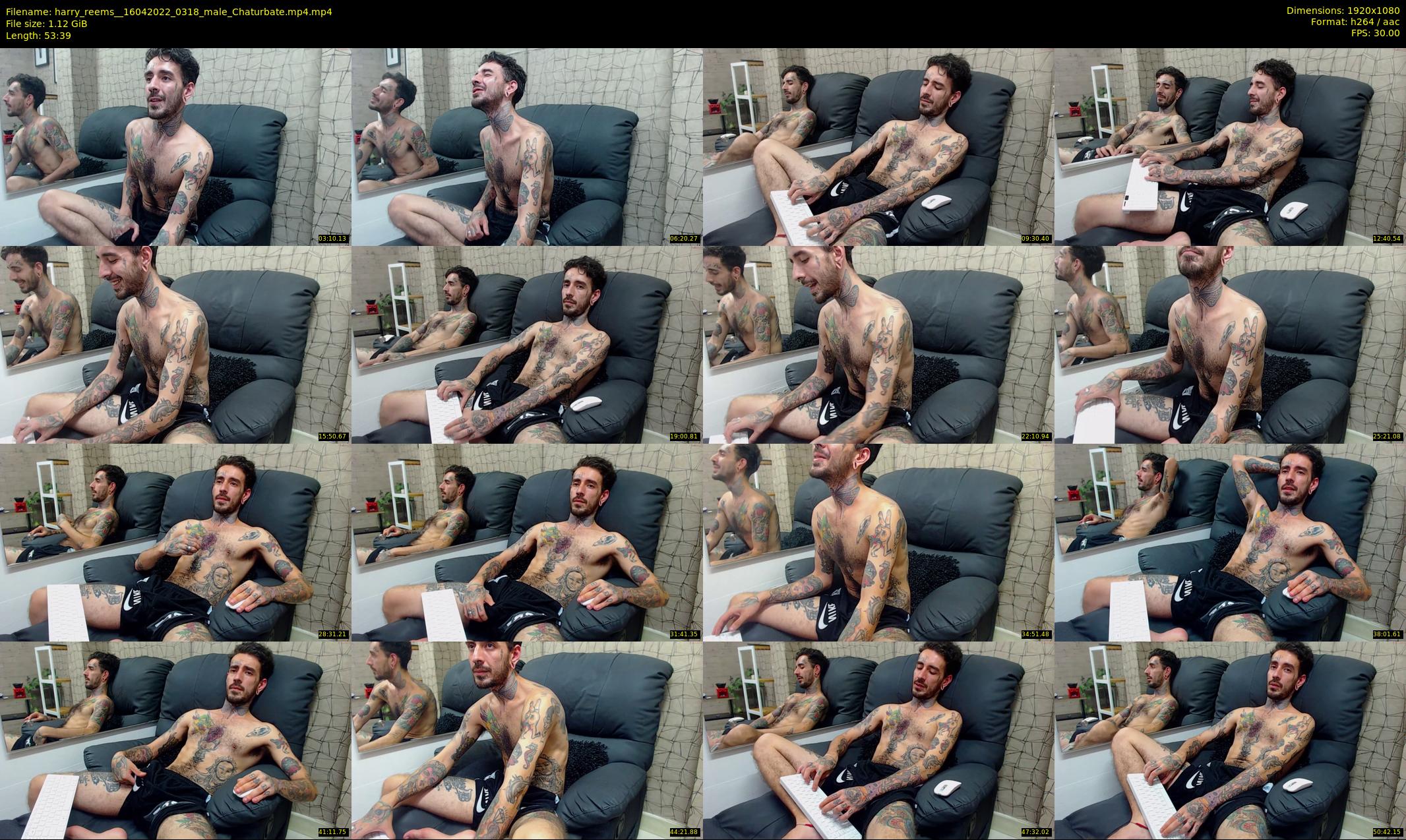 harry_reems_ — 54 minute Chaturbate male cam show recording, 1080p, Apr 16, 2022