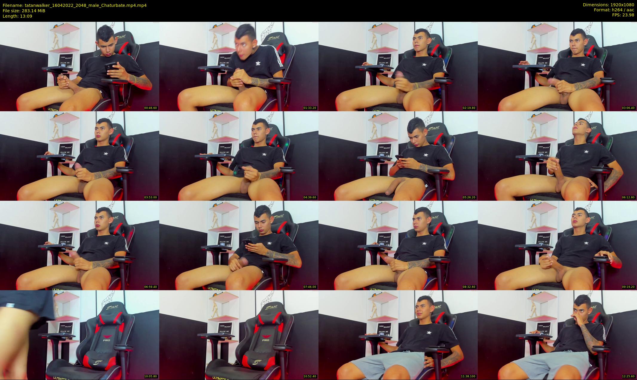tatanwalker — 14 minute Chaturbate male cam show recording, 1080p, Apr 16, 2022