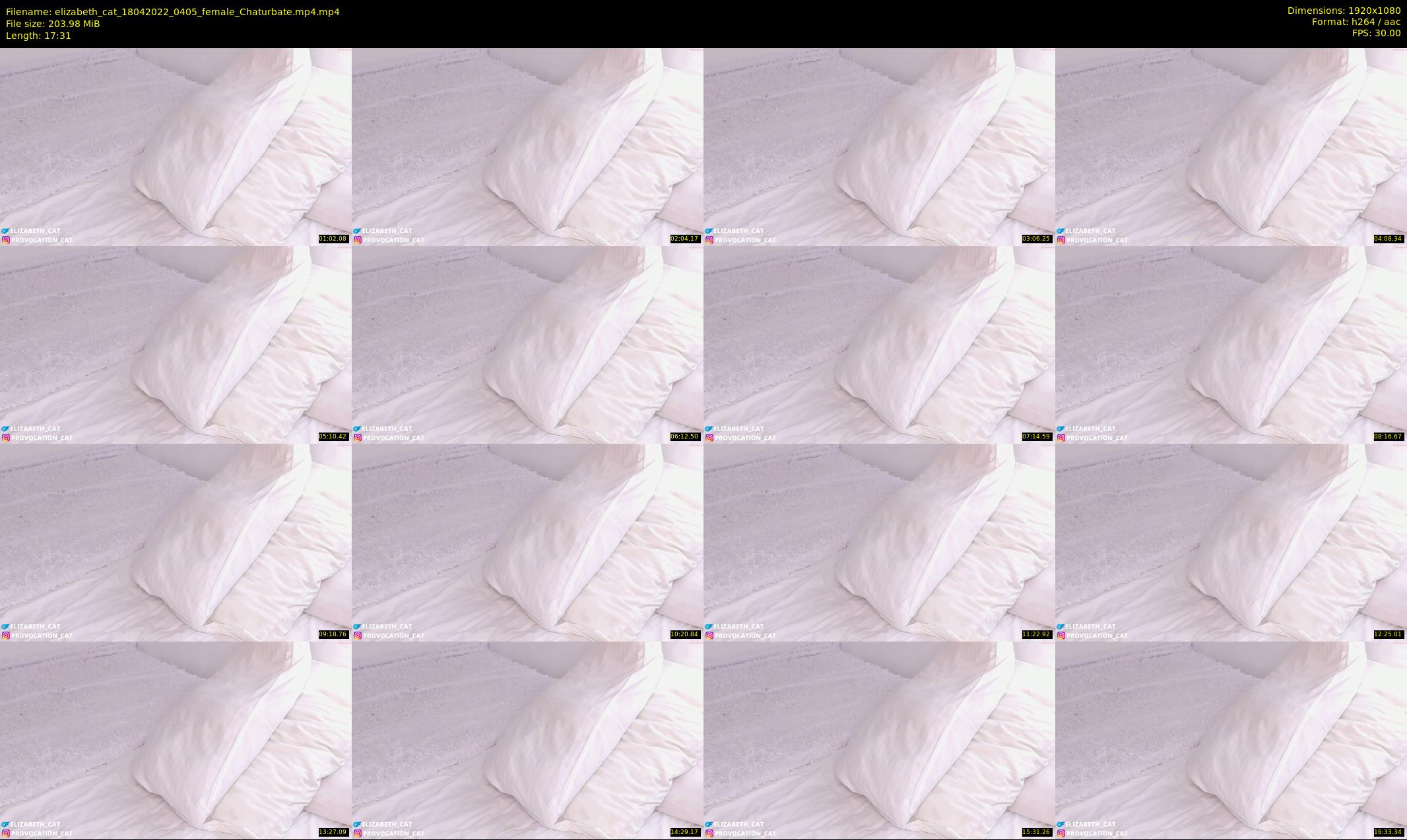 elizabeth_cat — 18 minute Chaturbate female cam show recording, 1080p, Apr 18, 2022