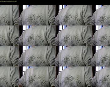 il_undercover — 17 minute Chaturbate male cam show recording, 480p, Apr 17, 2022