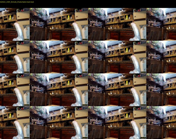 odalisca_bellydancer — 14 minute Chaturbate female cam show recording, 720p, Apr 17, 2022