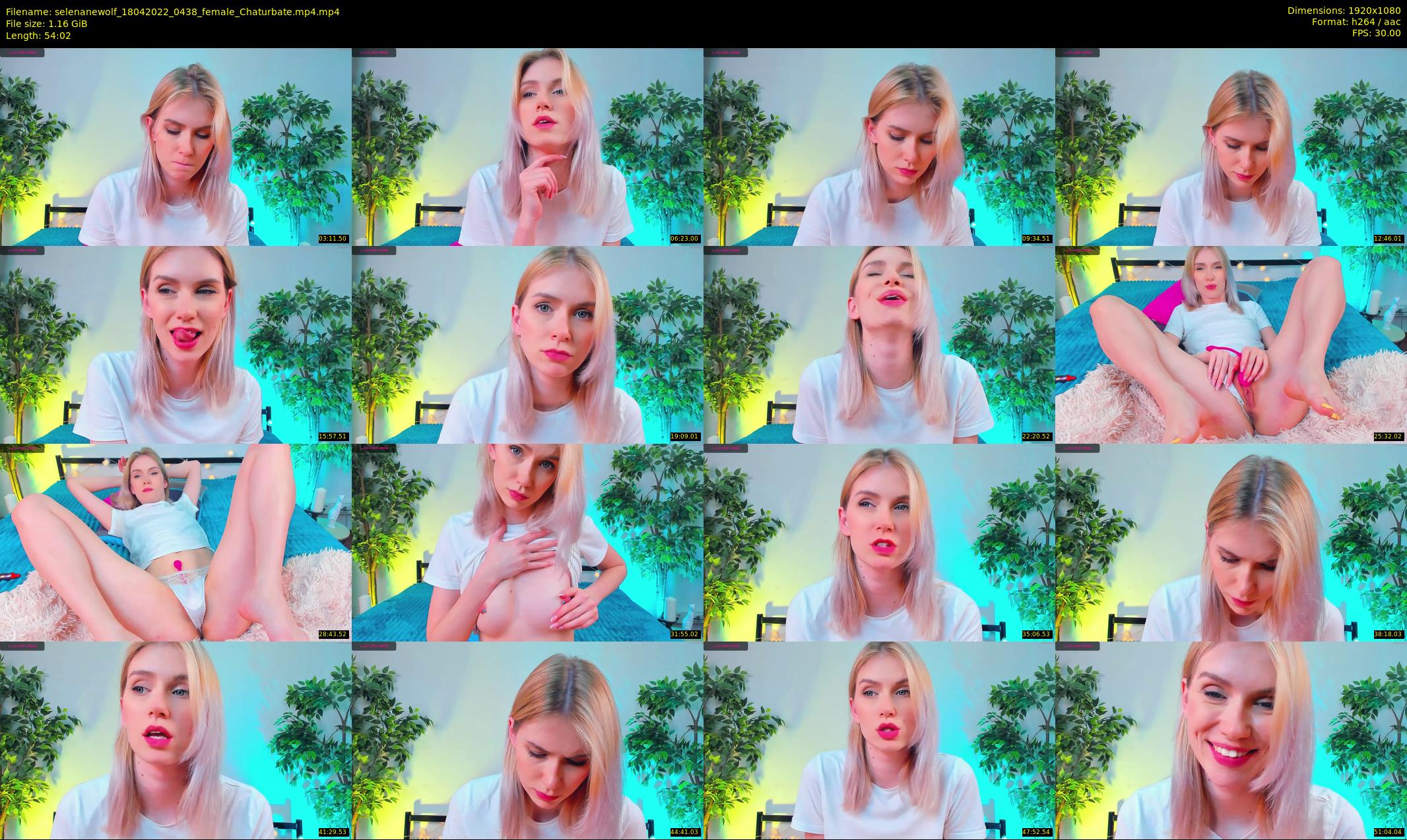 selenanewolf — 55 minute Chaturbate couple cam show recording, 1080p, Apr 18, 2022