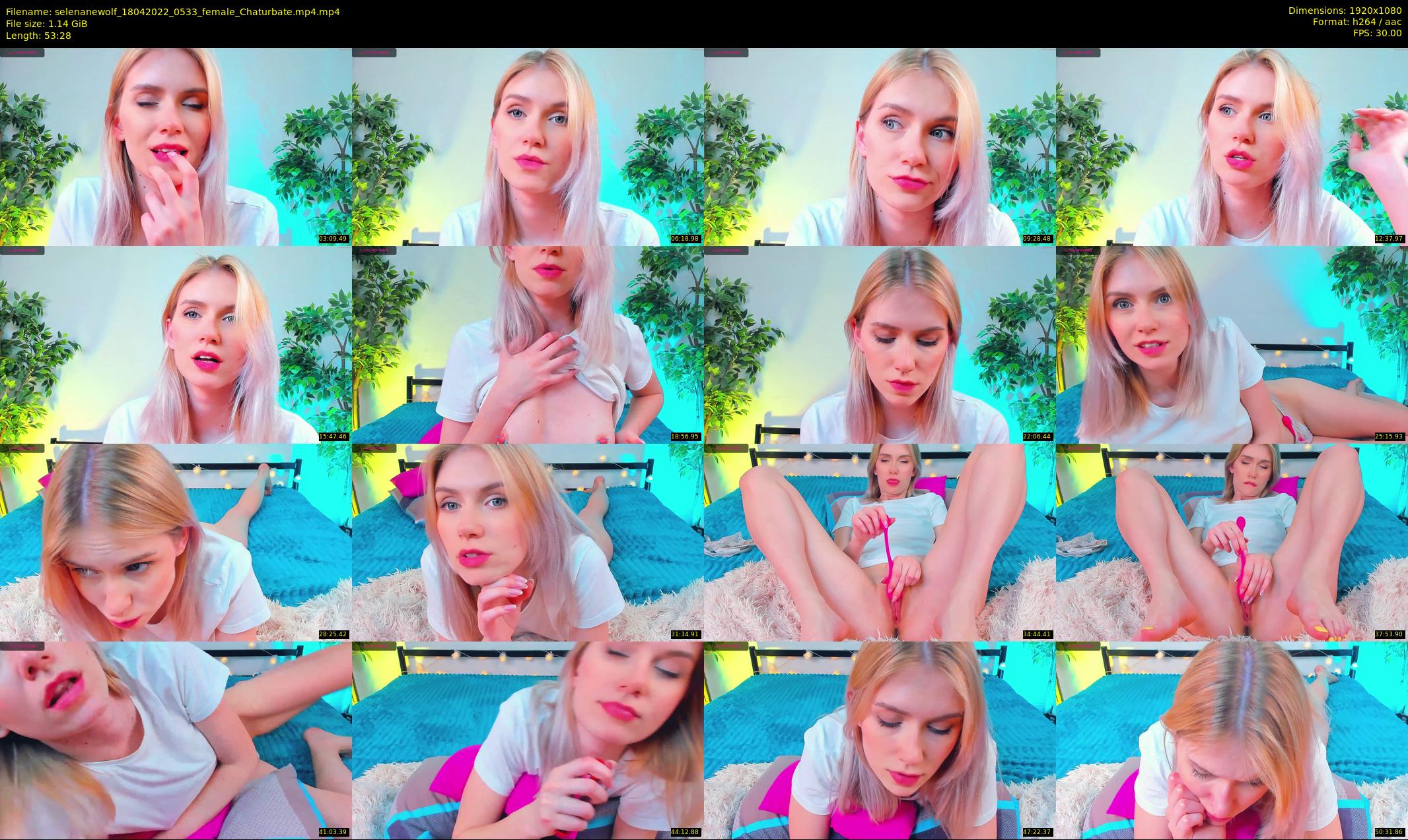 selenanewolf — 54 minute Chaturbate couple cam show recording, 1080p, Apr 18, 2022