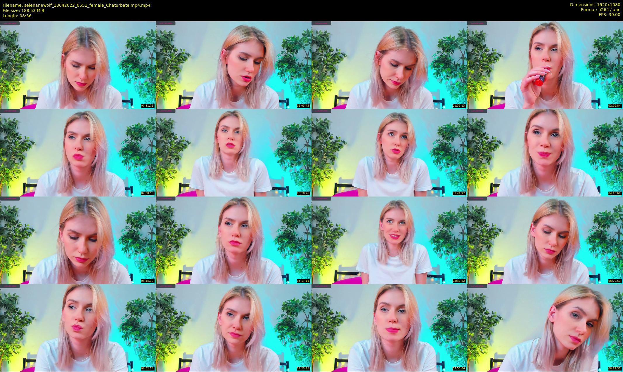 selenanewolf — 9 minute Chaturbate couple cam show recording, 1080p, Apr 18, 2022