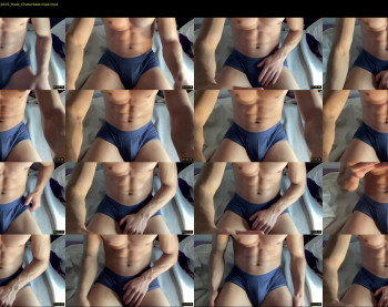 bestdick1991 — 17 minute Chaturbate male cam show recording, 720p, Apr 18, 2022
