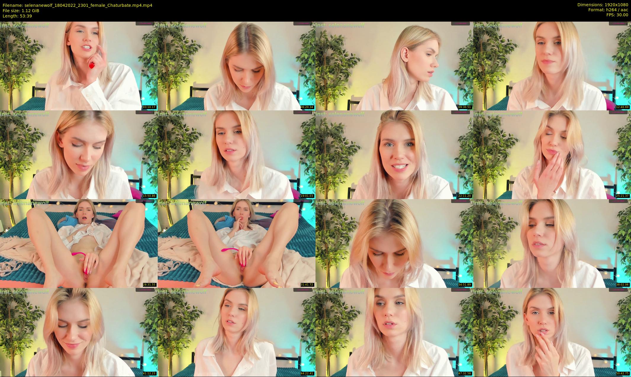 selenanewolf — 54 minute Chaturbate couple cam show recording, 1080p, Apr 18, 2022