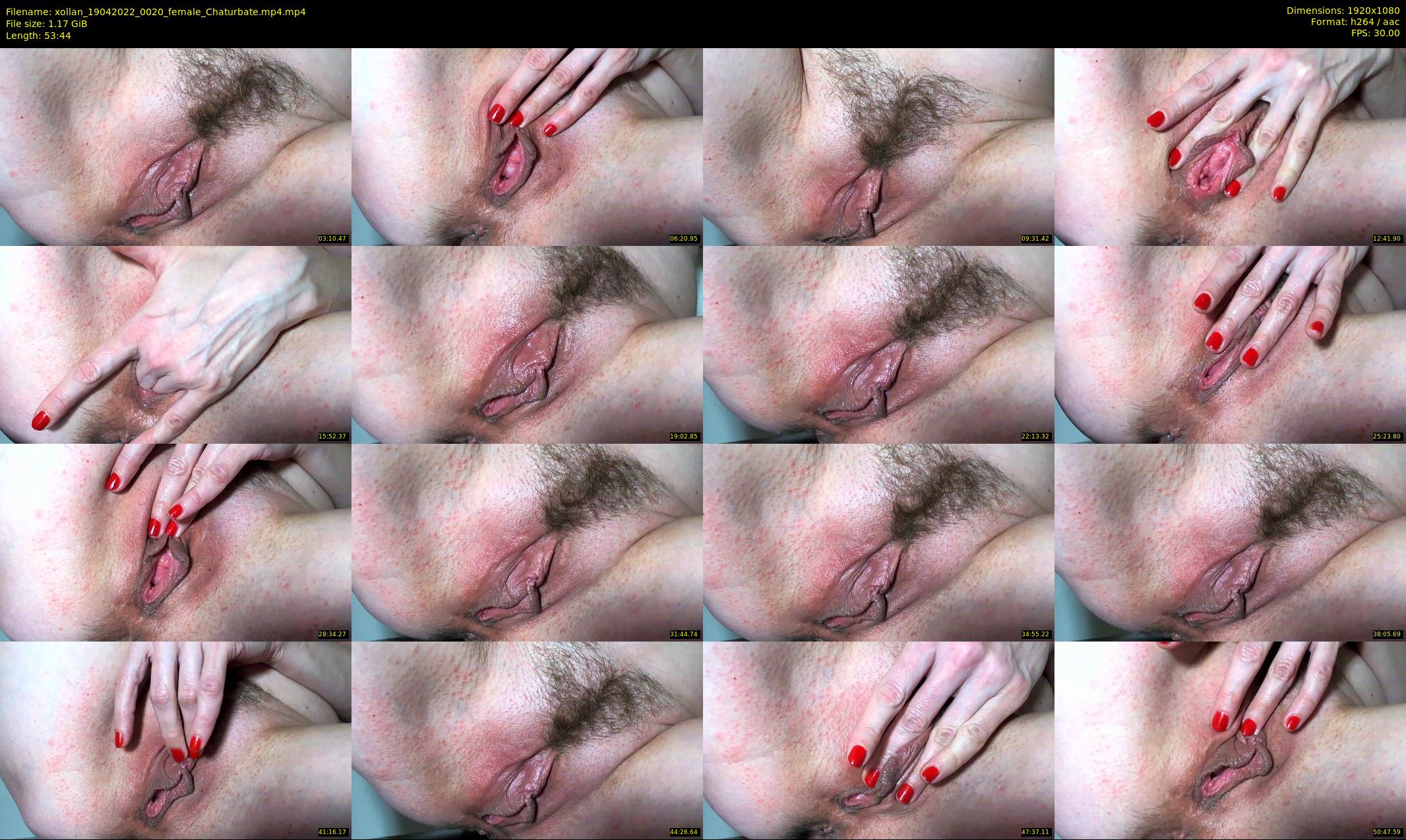 xollan — 54 minute Chaturbate female cam show recording, 1080p, Apr 19, 2022
