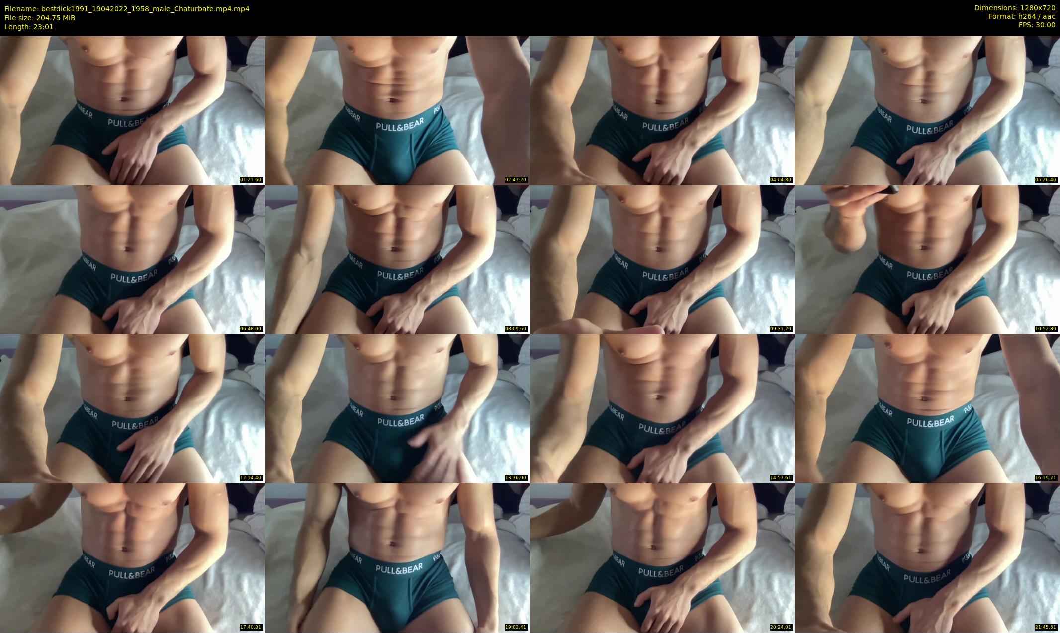 bestdick1991 — 24 minute Chaturbate male cam show recording, 720p, Apr 19, 2022