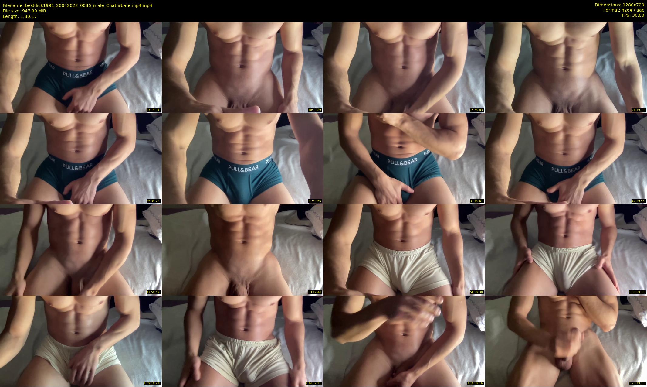 bestdick1991 — 91 minute Chaturbate male cam show recording, 720p, Apr 20, 2022