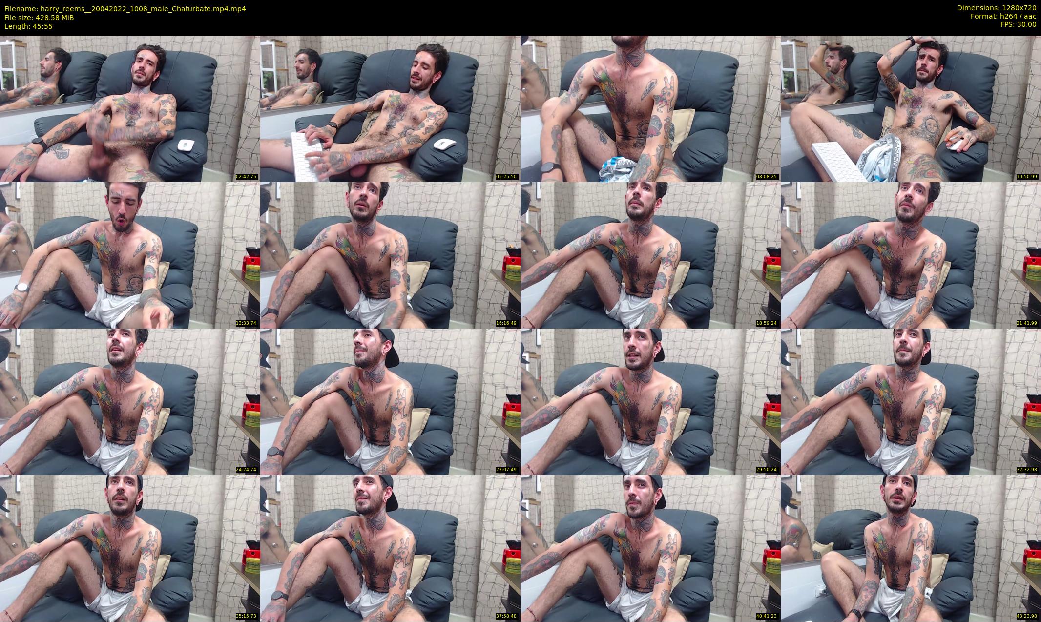harry_reems_ — 46 minute Chaturbate male cam show recording, 720p, Apr 20, 2022