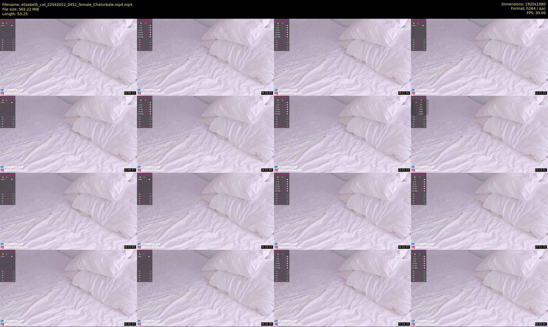 elizabeth_cat — 54 minute Chaturbate female cam show recording, 1080p, Apr 22, 2022