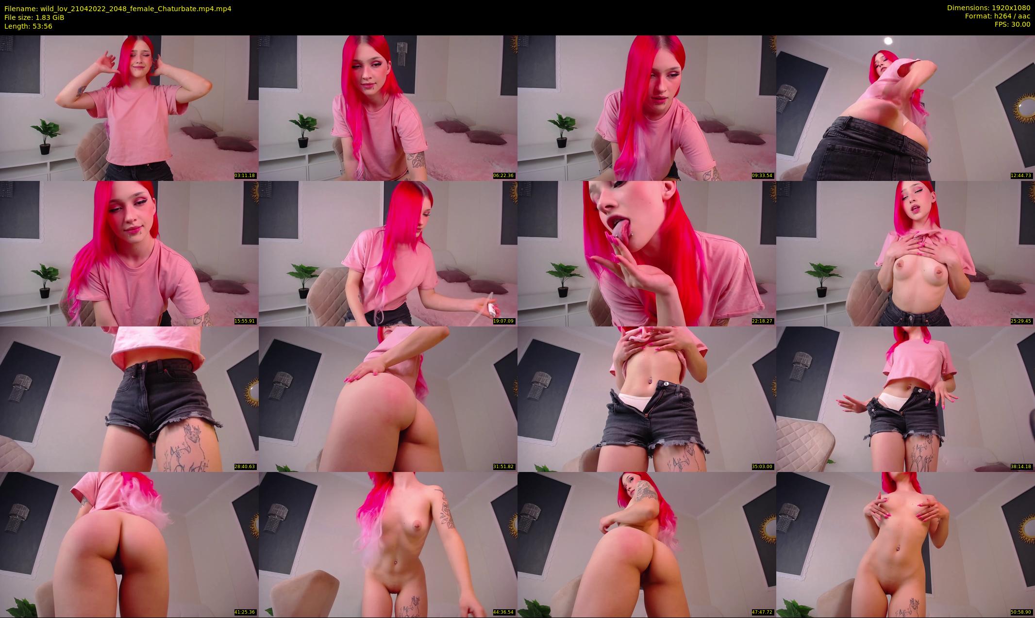 wild_lov — 54 minute Chaturbate female cam show recording, 1080p, Apr 21, 2022
